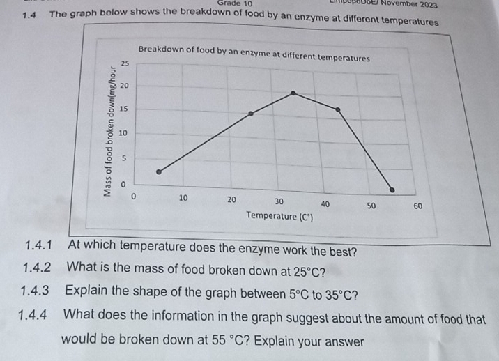 Grade 10 LmpopδDδE/ November 2023 
1.4 The graph below shows the breakdown of food by an enzyme at different temperatures 
Breakdown of food by an enzyme at different temperatures
25
20
15
10
5
0
0 10 20 30 40 50 60
Temperature (C *) 
1.4.1 At which temperature does the enzyme work the best? 
1.4.2 What is the mass of food broken down at 25°C 7 
1.4.3 Explain the shape of the graph between 5°C to 35°C
1.4.4 What does the information in the graph suggest about the amount of food that 
would be broken down at 55°C ? Explain your answer