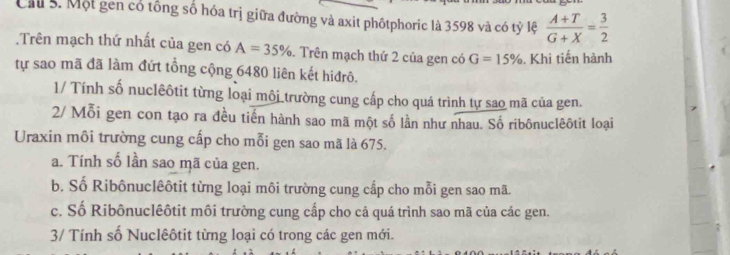 Cầu s. Một gen cổ tổng số hóa trị giữa đường và axit phốtphoric là 3598 và có tỷ lệ  (A+T)/G+X = 3/2 .Trên mạch thứ nhất của gen có A=35%. Trên mạch thứ 2 của gen có G=15%. Khi tiến hành
tự sao mã đã làm đứt tổng cộng 6480 liên kết hiđrô.
1/ Tính số nuclêôtit từng loại môi trường cung cấp cho quá trình tự sao mã của gen.
2/ Mỗi gen con tạo ra đều tiến hành sao mã một số lần như nhau. Số ribônuclêôtit loại
Uraxin môi trường cung cấp cho mỗi gen sao mã là 675.
a. Tính số lần sao mã của gen.
b. Số Ribônuclêôtit từng loại môi trường cung cấp cho mỗi gen sao mã.
c. Số Ribônuclêôtit môi trường cung cấp cho cả quá trình sao mã của các gen.
3/ Tính số Nuclêôtit từng loại có trong các gen mới.