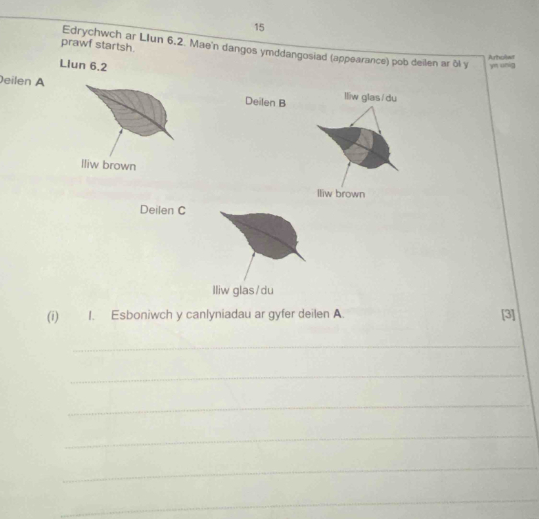 prawf startsh. 
Edrychwch ar Llun 6.2. Mae'n dangos ymddangosiad (appearance) pob deilen ar ol y 
Arholwr 
Llun 6.2 yn unig 
eilen A lliw glas/du 
Deilen B 
lliw brown 
lliw brown 
Deilen C 
lliw glas/du 
(i) I. Esboniwch y canlyniadau ar gyfer deilen A. [3] 
_ 
_ 
_ 
_ 
_ 
_