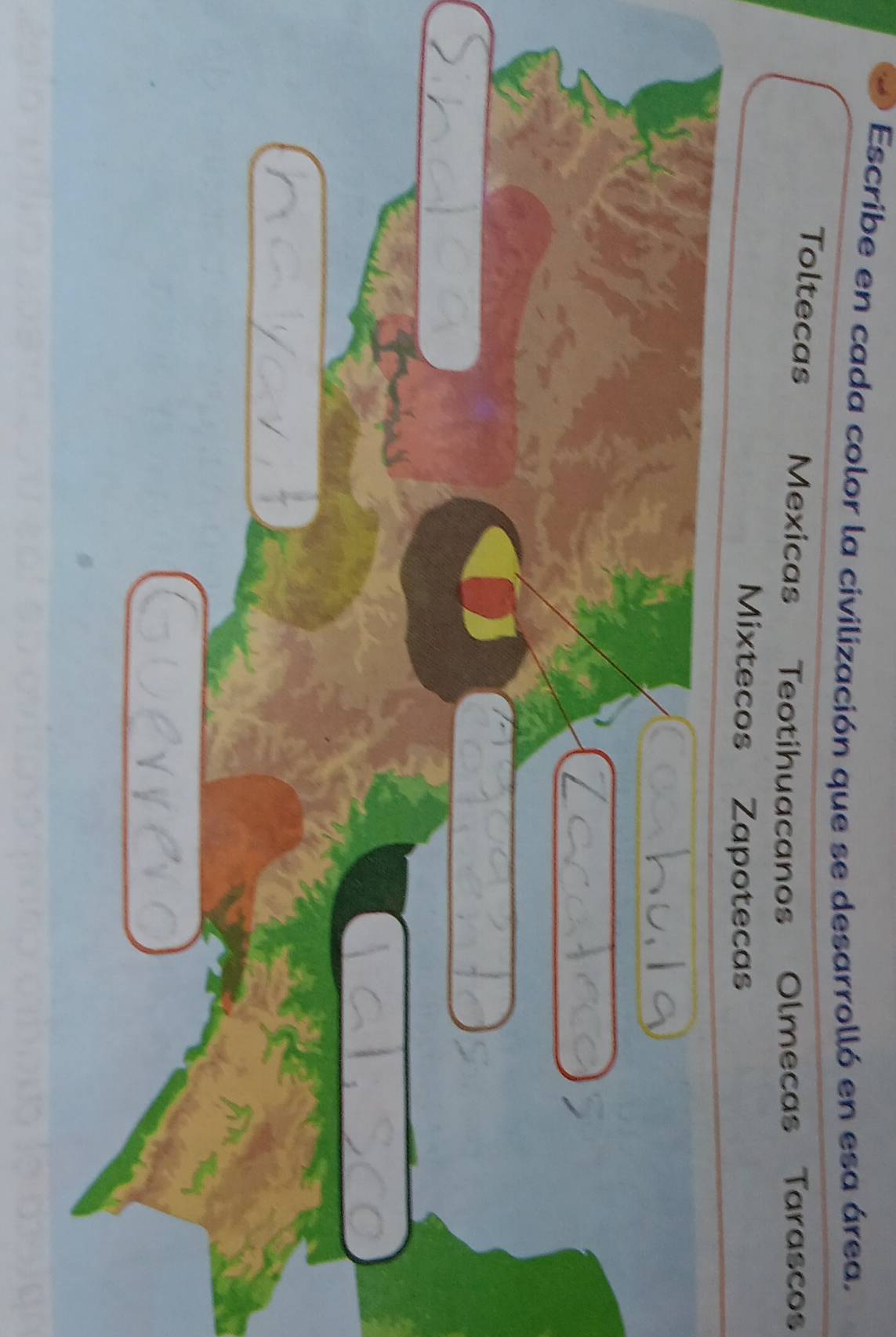 Escribe en cada color la civilización que se desarrolló en esa área. 
Toltecas Mexicas Teotihuacanos Olmecas Tarascos 
Mixtecos Zapotecas