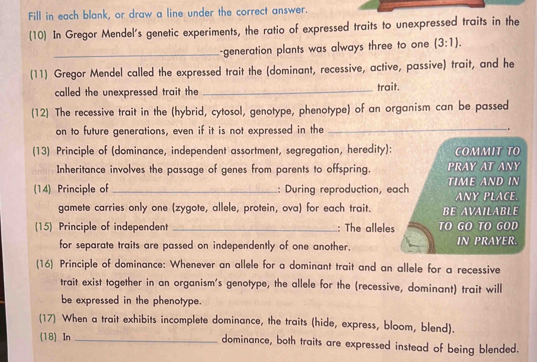 Fill in each blank, or draw a line under the correct answer. 
(10) In Gregor Mendel's genetic experiments, the ratio of expressed traits to unexpressed traits in the 
_-generation plants was always three to one (3:1). 
(11) Gregor Mendel called the expressed trait the (dominant, recessive, active, passive) trait, and he 
called the unexpressed trait the _trait. 
(12) The recessive trait in the (hybrid, cytosol, genotype, phenotype) of an organism can be passed 
on to future generations, even if it is not expressed in the _. 
(13) Principle of (dominance, independent assortment, segregation, heredity): COMMIT TO 
Inheritance involves the passage of genes from parents to offspring. PRAY AT ANY 
(14) Principle of _: During reproduction, each TIME AND IN 
ANY PLACE. 
gamete carries only one (zygote, allele, protein, ova) for each trait. BE AVAILABLE 
(15) Principle of independent _: The alleles TO GO TO GOD 
for separate traits are passed on independently of one another. 
IN PRAYER. 
(16) Principle of dominance: Whenever an allele for a dominant trait and an allele for a recessive 
trait exist together in an organism's genotype, the allele for the (recessive, dominant) trait will 
be expressed in the phenotype. 
(17) When a trait exhibits incomplete dominance, the traits (hide, express, bloom, blend). 
(18) In_ 
dominance, both traits are expressed instead of being blended.