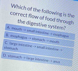 Which of the following is the
correct flow of food through
the digestive system?
A. mouth -> small intestine -> esophagus
B. esophagus -> stomach -> mouth
C. large intestine -> small intestine ->
stomach
D. stomach -> large intestine -> anus