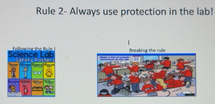 Solved: Rule 2- Always use protection in the lab! Following the Rule ...