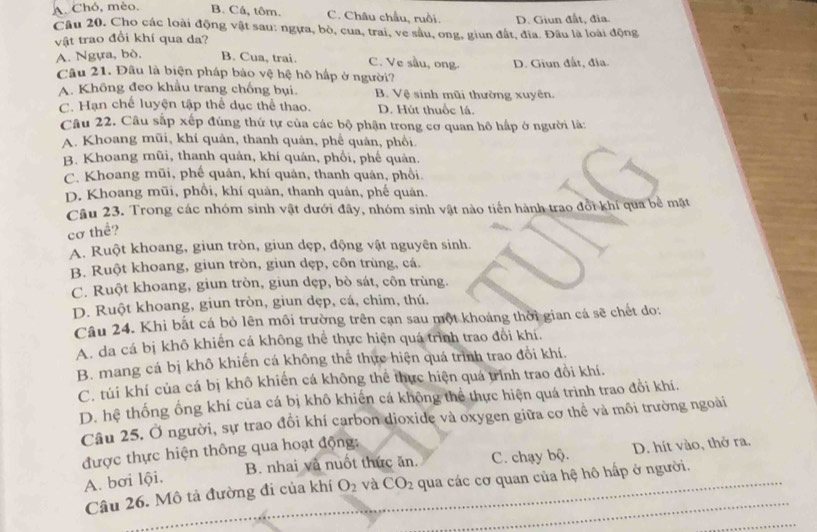 A. Chó, mèo, B. Cá, tôm. C. Châu châu, ruồi. D. Giun đất, đia.
Câu 20. Cho các loài động vật sau: ngựa, bò, cua, trai, ve sâu, ong, giun đất, đĩa. Đâu là loài động
vật trao đồi khí qua da?
A. Ngựa, bò. B. Cua, trai. C. Ve sầu, ong. D. Giun đất, địa.
Câu 21. Đầu là biện pháp bảo vệ hệ hô hấp ở người?
A. Không đeo khẩu trang chống bụi B. Vệ sinh mũi thường xuyên.
C. Hạn chế luyện tập thể dục thể thao. D. Hút thuốc lá.
Câu 22. Câu sắp xếp đúng thứ tự của các bộ phận trong cơ quan hô hấp ở người là:
A. Khoang mũi, khí quản, thanh quản, phế quản, phổi
B. Khoang mũi, thanh quản, khí quản, phổi, phế quản.
C. Khoang mũi, phế quản, khí quản, thanh quản, phối.
D. Khoang mũi, phổi, khí quản, thanh quản, phế quản.
Câu 23. Trong các nhóm sinh vật dưới đây, nhóm sinh vật nào tiền hành trao đổi khí qua bề mặt
cơ thể?
A. Ruột khoang, giun tròn, giun dẹp, động vật nguyên sinh.
B. Ruột khoang, giun tròn, giun dẹp, côn trùng, cá.
C. Ruột khoang, giun tròn, giun dẹp, bò sát, côn trùng.
D. Ruột khoang, giun tròn, giun dẹp, cá, chim, thú.
Câu 24. Khi bắt cá bỏ lên môi trường trên cạn sau một khoảng thời gian cá sẽ chết do:
A. da cá bị khô khiến cá không thể thực hiện quá trình trao đổi khí.
B. mang cá bị khô khiến cá không thể thực hiện quá trình trao đổi khí.
C. túi khí của cá bị khô khiến cá không thể thực hiện quá trình trao đồi khí.
D. hệ thống ống khí của cá bị khô khiến cá không thể thực hiện quá trình trao đổi khí.
Câu 25. Ở người, sự trao đồi khí carbon dioxide và oxygen giữa cơ thể và môi trường ngoài
được thực hiện thông qua hoạt động:
A. bơi lội. B. nhai và nuốt thức ăn. C. chạy bộ. D. hít vào, thở ra.
Câu 26. Mô tả đường đi của khí O_2 và CO_2 qua các cơ quan của hệ hô hấp ở người.
_