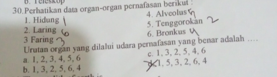 Teleskop
30.Perhatikan data organ-organ pernafasan berikut :
4. Alveolus
1. Hidung
5. Tenggorokan
2. Laring
6. Bronkus
3 Faring
Urutan organ yang dilalui udara pernafasan yang benar adalah …
a. 1, 2, 3, 4, 5, 6 c. 1, 3, 2, 5, 4, 6
b. 1, 3, 2, 5, 6, 4 d, 1, 5, 3, 2, 6, 4