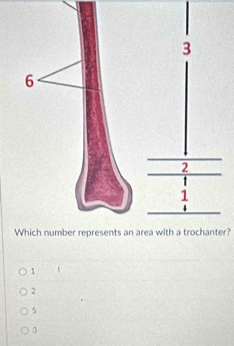 er?
1
2
5
3