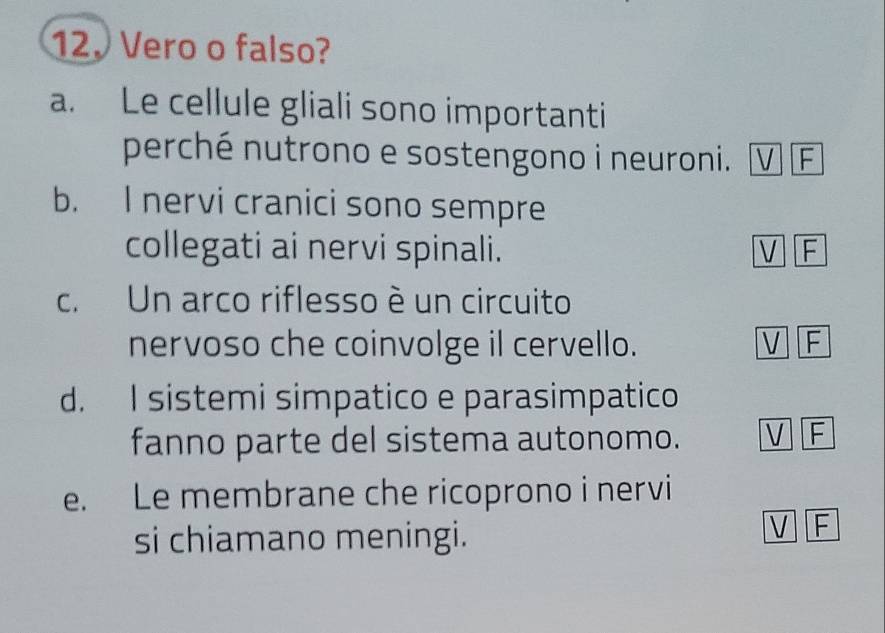 Vero o falso?
a. Le cellule gliali sono importanti
perché nutrono e sostengono i neuroni. V F
b. I nervi cranici sono sempre
collegati ai nervi spinali. V F
c. Un arco riflesso è un circuito
nervoso che coinvolge il cervello. V F
d. I sistemi simpatico e parasimpatico
fanno parte del sistema autonomo. V F
e. Le membrane che ricoprono i nervi
si chiamano meningi.
V F