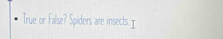 True or False? Spiders are insects.