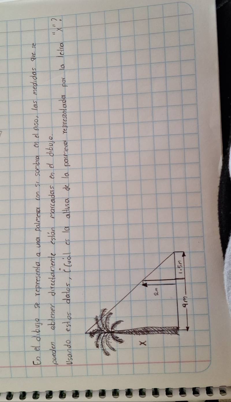 En el dibyo se representa a ua palmera con s, sombig en el piso, las medidas gue se 
oveden obtener directanente estan marcadas en el dibuo 
Usando estos dales, ((val cs 1d altura do la parnerd representada por (a elra "x"?