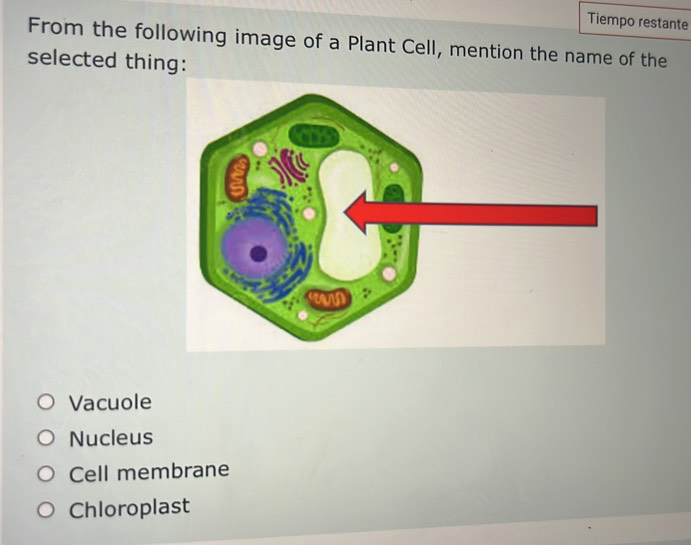 Tiempo restante
From the following image of a Plant Cell, mention the name of the
selected thing:
Vacuole
Nucleus
Cell membrane
Chloroplast