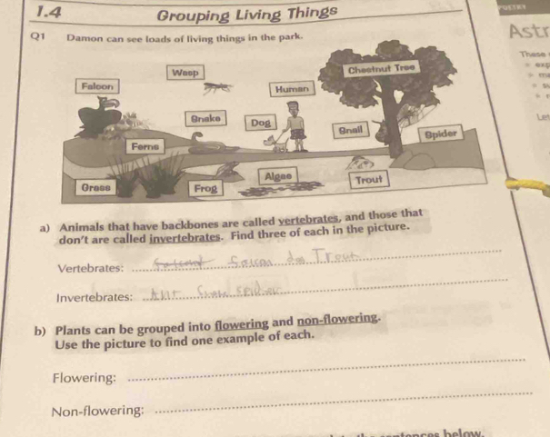 1.4 Grouping Living Things 
Astr These 
exp 

Let 
a) Animals that have backbones are called vertebrates, and those that 
don't are called invertebrates. Find three of each in the picture. 
_ 
Vertebrates: 
_ 
Invertebrates: 
b) Plants can be grouped into flowering and non-flowering. 
_ 
Use the picture to find one example of each. 
Flowering: 
Non-flowering: 
_ 
es h e low .