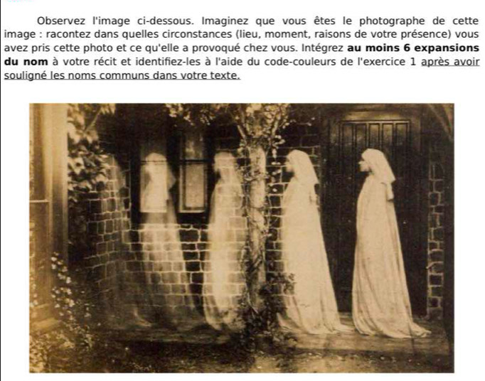 Observez l'image ci-dessous. Imaginez que vous êtes le photographe de cette 
image : racontez dans quelles circonstances (lieu, moment, raisons de votre présence) vous 
avez pris cette photo et ce qu'elle a provoqué chez vous. Intégrez au moins 6 expansions 
du nom à votre récit et identifiez-les à l'aide du code-couleurs de l'exercice 1 après avoir 
souligné les noms communs dans votre texte.