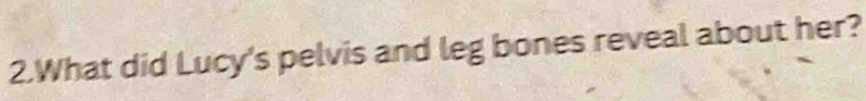 What did Lucy's pelvis and leg bones reveal about her?