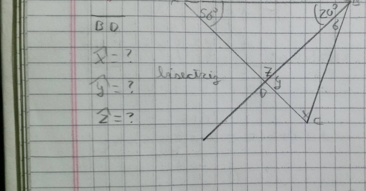 overline BD
overline x=
widehat y=
widehat z= ?