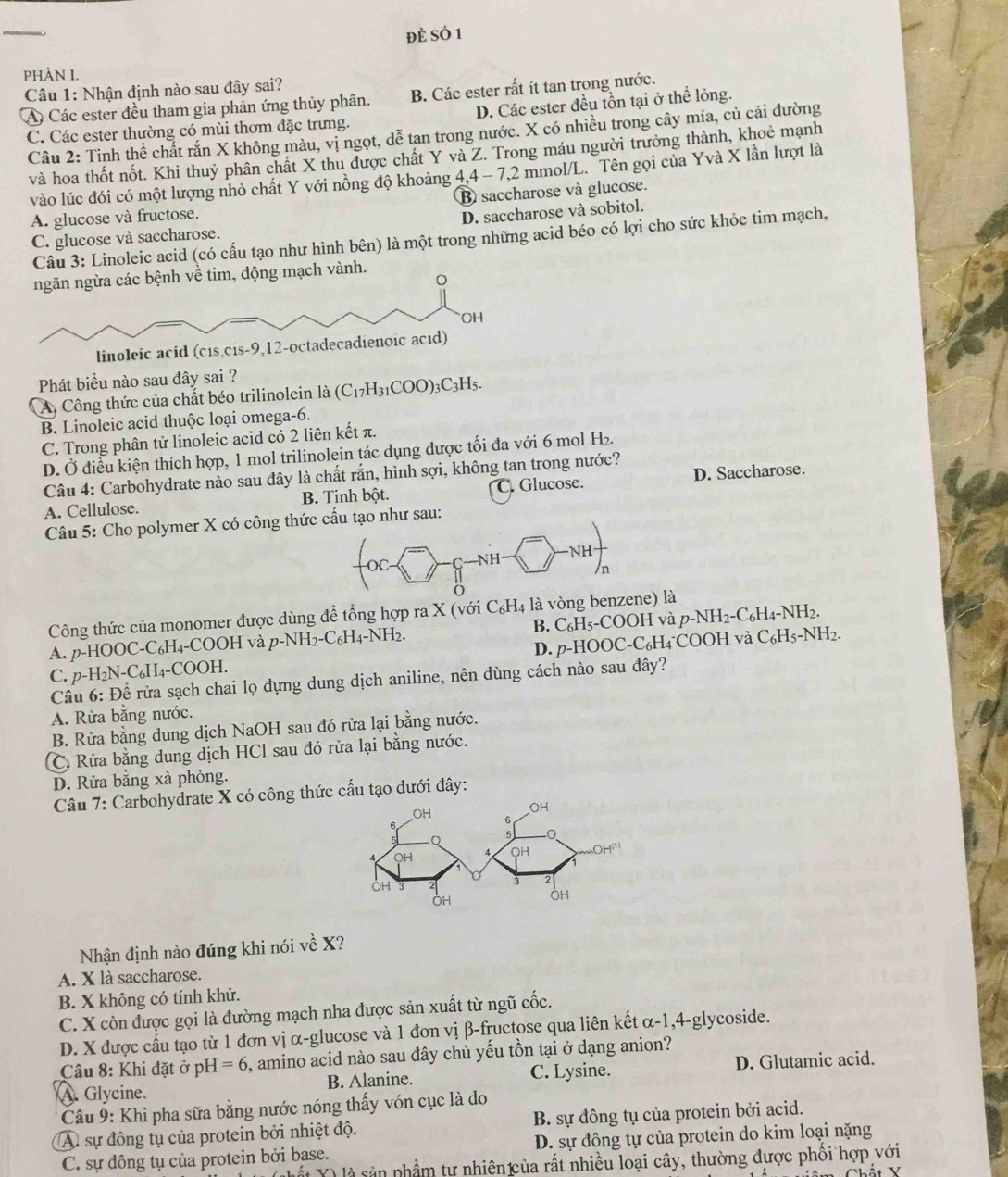 đè SÓ 1
PHÀN I.
Câu 1: Nhận định nào sau đây sai?
A Các ester đều tham gia phản ứng thủy phân. B. Các ester rất ít tan trong nước.
C. Các ester thường có mùi thơm đặc trưng. D. Các ester đều tồn tại ở thể lỏng.
Câu 2: Tỉnh thể chất rắn X không màu, vị ngọt, dễ tan trong nước. X có nhiều trong cây mía, củ cải đường
và hoa thốt nốt. Khi thuỷ phân chất X thu được chất Y và Z. Trong máu người trưởng thành, khoẻ mạnh
vào lúc đói có một lượng nhỏ chất Y với nồng độ khoảng 4,4 - 7,2 mmol/L. Tên gọi của Yvà X lần lượt là
A. glucose và fructose. ③ saccharose và glucose.
D. saccharose và sobitol.
C. glucose và saccharose.
Câu 3: Linoleic acid (có cấu tạo như hình bên) là một trong những acid béo có lợi cho sức khỏe tim mạch,
tim, động mạch vành.
Phát biểu nào sau đây sai ?
A. Công thức của chất béo trilinolein là (C_17H_31COO)_3C_3H_5.
B. Linoleic acid thuộc loại omega-6.
C. Trong phân tử linoleic acid có 2 liên kết π.
D. Ở điều kiện thích hợp, 1 mol trilinolein tác dụng được tối đa với 6 mol H₂.
Câu 4: Carbohydrate nào sau đây là chất rắn, hình sợi, không tan trong nước?
A. Cellulose. B. Tinh bột. C. Glucose. D. Saccharose.
Câu 5: Cho polymer X có công thứu tạo như sau:
Công thức của monomer được dùng đề tổng hợp ra X (với C_6H_4 à là vòng be là
A. p-HOOC-C₆H₄-COOH và p-N NH_2-C_6H_4-N NH2. B. C_6H_5-COOH và p-NH_2-C_6H_4-NH_2.
D.
C. p-H₂N-C₆H₄-COOH. p-HOOC-C_6H H4°COOH và C₆H5-NH2.
Câu 6: Đề rửa sạch chai lọ đựng dung dịch aniline, nên dùng cách nào sau đây?
A. Rửa bằng nước.
B. Rửa bằng dung dịch NaOH sau đó rửa lại bằng nước.
C Rửa bằng dung dịch HCl sau đó rửa lại bằng nước.
D. Rửa bằng xà phòng.
Câu 7: Carbohydrate X có công thức cấu tạo dưới đây:
Nhận định nào đúng khi nói về X?
A. X là saccharose.
B. X không có tính khử.
C. X còn được gọi là đường mạch nha được sản xuất từ ngũ cốc.
D. X được cấu tạo từ 1 đơn vị α-glucose và 1 đơn vị β-fructose qua liên kết α-1,4-glycoside.
Câu 8: Khi đặt ở pH=6 , amino acid nào sau đây chủ yếu tồn tại ở dạng anion?
A. Glycine. B. Alanine. C. Lysine. D. Glutamic acid.
* Câu 9: Khi pha sữa bằng nước nóng thấy vón cục là do
A sự đông tụ của protein bởi nhiệt độ. B. sự đồng tụ của protein bởi acid.
C. sự đông tụ của protein bởi base.  D. sự đông tự của protein do kim loại nặng
(hất Ý) là sản phẩm tư nhiên của rất nhiều loại cây, thường được phối hợp với