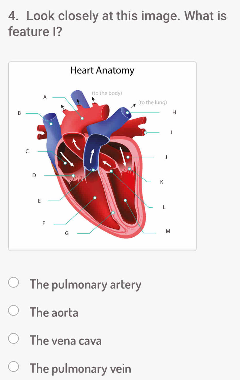 Look closely at this image. What is
feature I?
The pulmonary artery
The aorta
The vena cava
The pulmonary vein