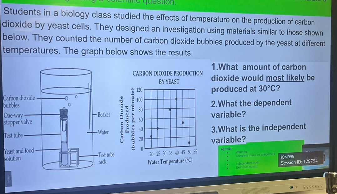 tme question. 
Students in a biology class studied the effects of temperature on the production of carbon 
dioxide by yeast cells. They designed an investigation using materials similar to those shown 
below. They counted the number of carbon dioxide bubbles produced by the yeast at different 
temperatures. The graph below shows the results. 
1.What amount of carbon 
CARBON DIOXIDE PRODUCTION dioxide would most likely be 
BY YEAST
120 produced at 30°C ?
C100
b 2.What the dependent 
O 80 variable? 
s
60
T 40 3.What is the independent
20 variable? 
0 
Y50 55 Agenda 
s 20 25 30 35 40 45 Warm-up 
Complete make-up assignment 
Water Temperature (°C) iQM995 1 
Independent work Session ID: 129794 
Exit tickst-quizizz 
`