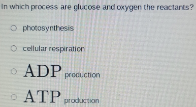 In which process are glucose and oxygen the reactants?
photosynthesis
cellular respiration
ADP production
ATP production