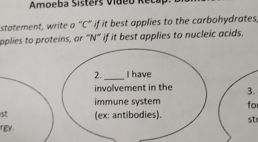 Amoeba Sisters Video Recap 
statement, write a “ C ” if it best applies to the carbohydrates, 
pplies to proteins, or “ N ” if it best applies to nucleic acids. 
2._ I have 
involvement in the 
3. 
immune system for 
1st (ex: antibodies). 
st 
rgy.