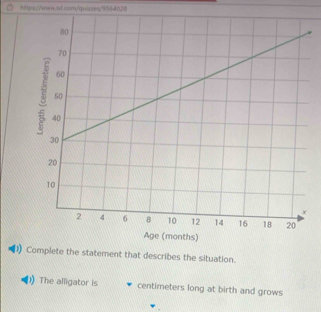 Complete the statement that describes the situation. 
The alligator is centimeters long at birth and grows