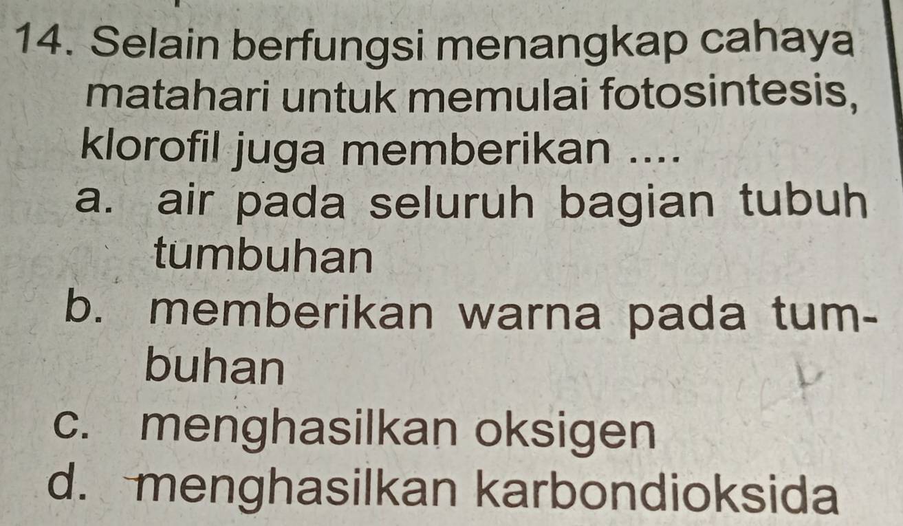 Selain berfungsi menangkap cahaya
matahari untuk memulai fotosintesis,
klorofil juga memberikan ....
a. air pada seluruh bagian tubuh
tumbuhan
b. memberikan warna pada tum-
buhan
c. menghasilkan oksigen
d. menghasilkan karbondioksida