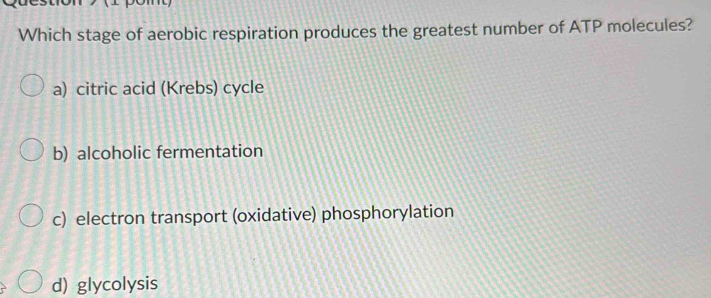 Which stage of aerobic respiration produces the greatest number of ATP molecules?
a) citric acid (Krebs) cycle
b) alcoholic fermentation
c) electron transport (oxidative) phosphorylation
d) glycolysis