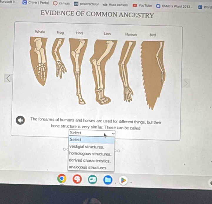 ticrosoft 3 Clever | Portal canvas powerschool mle Hccs canvas YouTube GMetrix Word 2013 Word
EVIDENCE OF COMMON ANCESTRY
The forearms of humans and horses are used for different things, but their
bone structure is very similar. These can be called
Select
Select
vestigial structures.
homologous structures.
derived characteristics.
analogous structures.