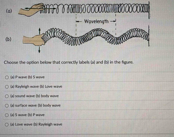 Choose the option below that correctly labels (a) and (b) in the figure.
(a) P wave (b) S wave
(a) Rayleigh wave (b) Love wave
(a) sound wave (b) body wave
(a) surface wave (b) body wave
(a) S wave (b) P wave
(a) Love wave (b) Rayleigh wave