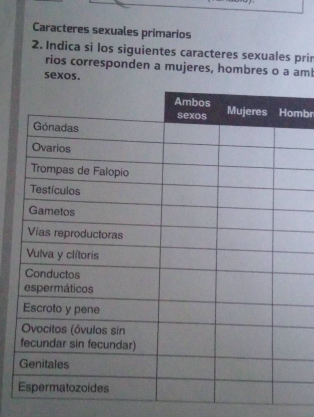 Caracteres sexuales primarios 
2. Indica si los siguientes caracteres sexuales prin 
rios corresponden a mujeres, hombres o a amb 
sexos. 
mbr