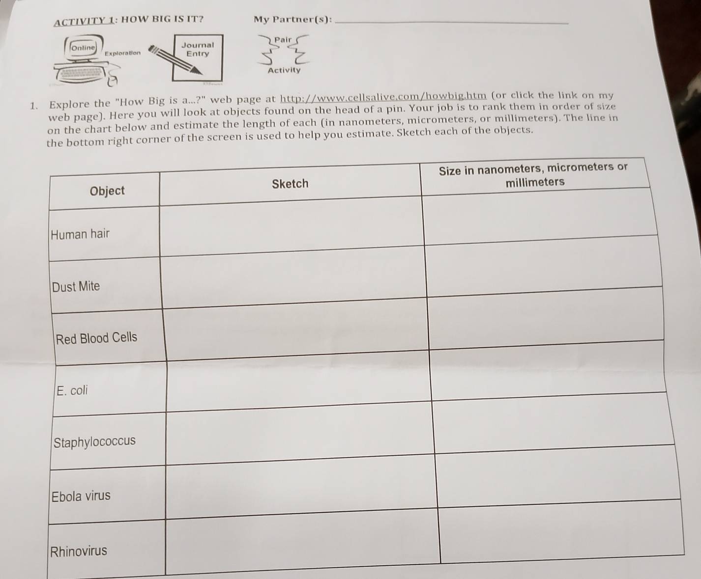 ACTIVITY 1: HOW BIG IS IT? My Partner(s):_ 
Pair 
Online Journal 
Exploration Entry 
Activity 
1. Explore the "How Big is a...?" web page at http://www.cellsalive.com/howbig.htm (or click the link on my 
web page). Here you will look at objects found on the head of a pin. Your job is to rank them in order of size 
on the chart below and estimate the length of each (in nanometers, micrometers, or millimeters). The line in 
ight corner of the screen is used to help you estimate. Sketch each of the objects.