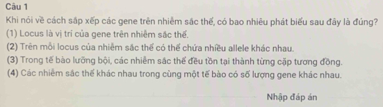 Khi nói về cách sáp xếp các gene trên nhiễm sác thể, có bao nhiêu phát biểu sau đây là đúng?
(1) Locus là vị trí của gene trên nhiễm sắc thế.
(2) Trên mỗi locus của nhiễm sắc thể có thể chứa nhiều allele khác nhau.
(3) Trong tế bào lưỡng bội, các nhiềm sắc thể đều tồn tại thành từng cặp tương đồng.
(4) Các nhiễm sắc thể khác nhau trong cùng một tế bào có số lượng gene khác nhau.
Nhập đáp án