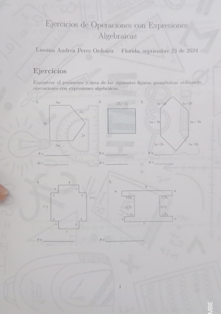 Resuelto:Ejercicios de Operaciones con Expresiones Algebraicas Lissana ...