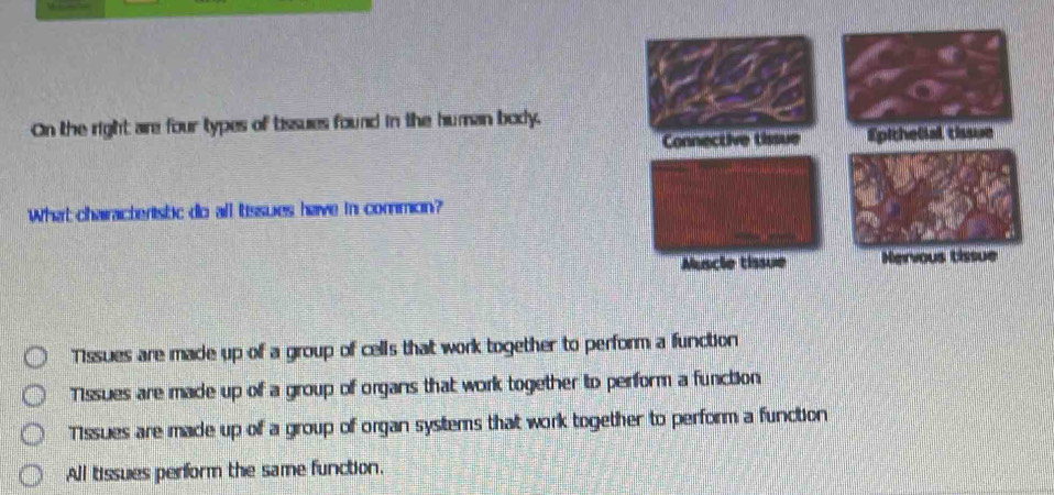 Solved: On the right are four types of tissues found in the human body ...