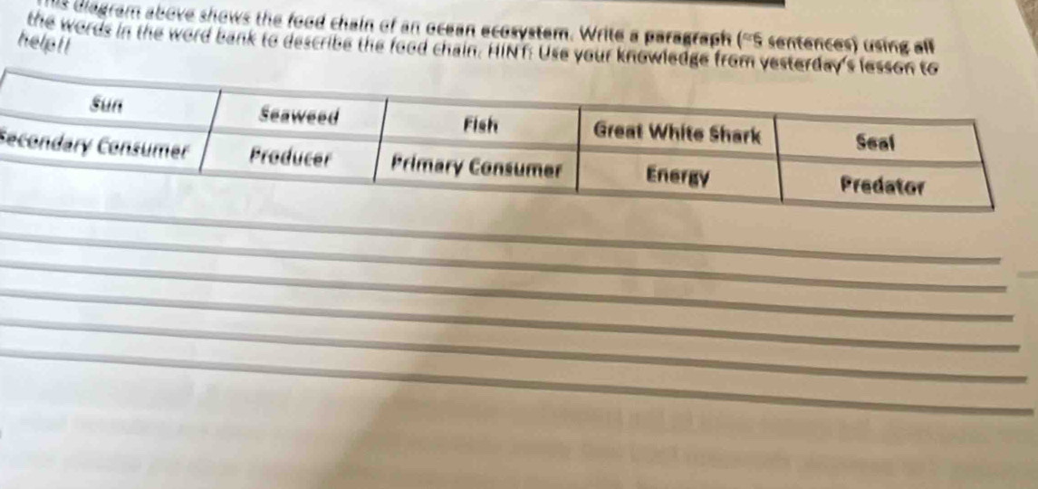 0s Diagram above shows the food chain of an ocean ecosystem. Write a paragraph ('S sentences) using all 
helpti the words in the word bank to describe the food chain. HIN f: Use your knowledge from ves 
S 
_ 
_ 
_ 
_ 
_ 
_ 
_