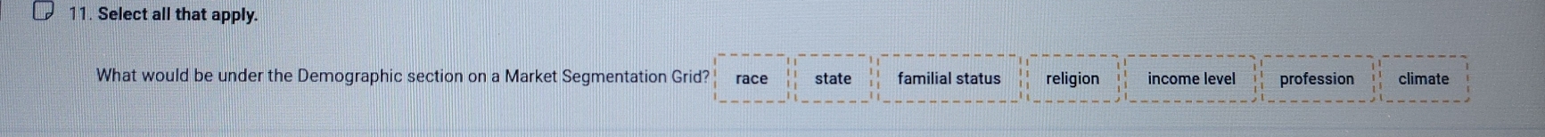 Select all that apply.
What would be under the Demographic section on a Market Segmentation Grid? race state familial status religion income level profession climate