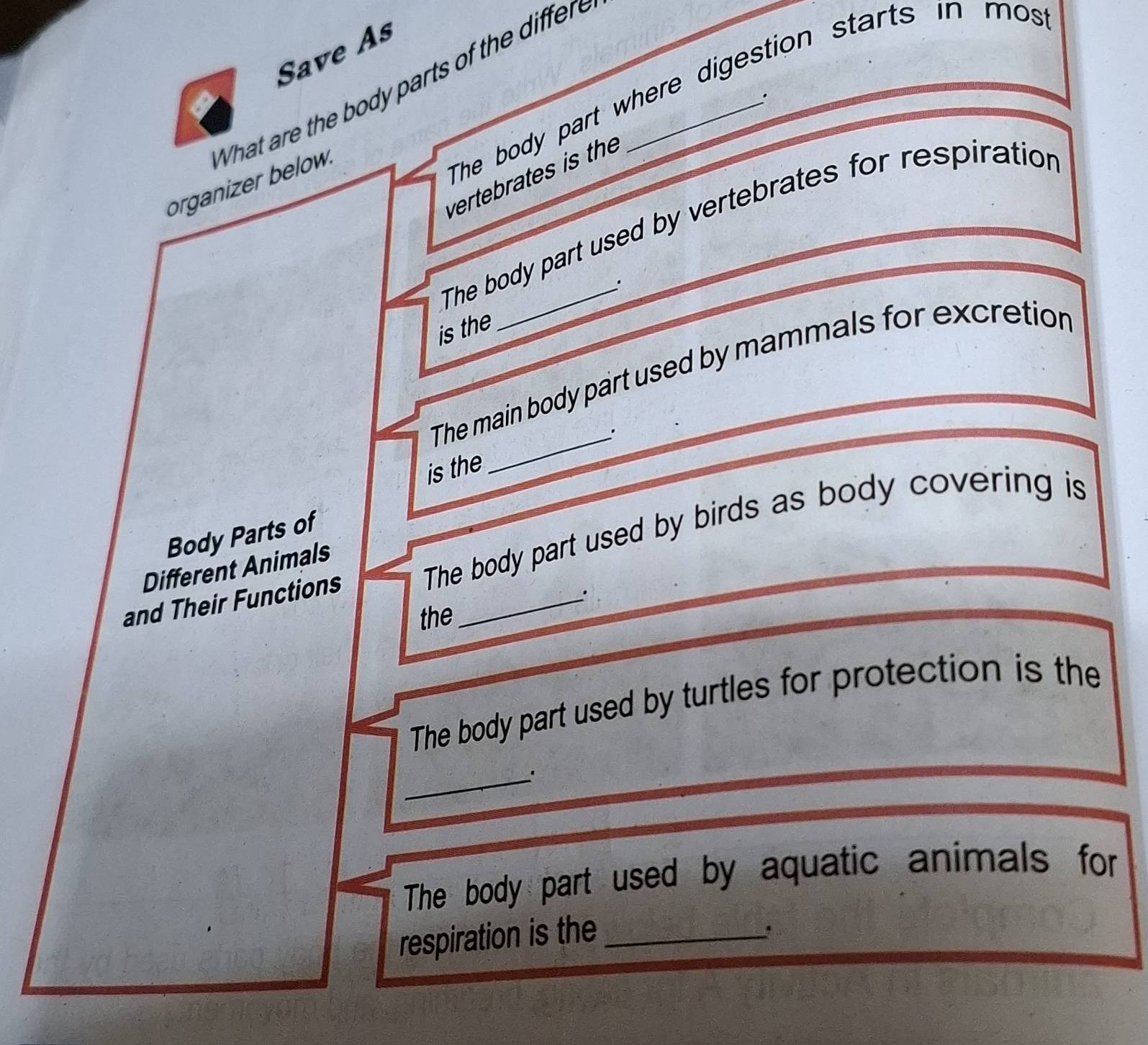 Save As 
What are the body parts of the differ_ 
vertebrates is the 
organizer below. 
The body part where digestion starts in mos 
. 
The body part used by vertebrates for respiration 
is the _. 
The main body part used by mammals for excretion 
_. 
is the 
Body Parts of 
and Their Functions The body part used by birds as body covering is 
Different Animals 
. 
the 
The body part used by turtles for protection is the 
_ 
The body part used by aquatic animals for 
respiration is the_