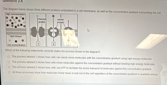 The diagram below shows three different proteins embedded in a cell membrane, as well as the concentration gradient surrounding the cell
Which of the following statements correctly states the process shown in the diagram?
The process labeled 1 shows how cells can easily move molecules with the concentration gradient using high energy molecules.
The process labeled 2 shows how cells move molecules against the concentration gradient without needing high energy molecules.
The process labeled 3 shows how cells use ATP to facilitale the active transport of molecules against the concentration gradient.
All three processes show how molecules freely move in and out of the cell regardless of the concentration gradient or available energy