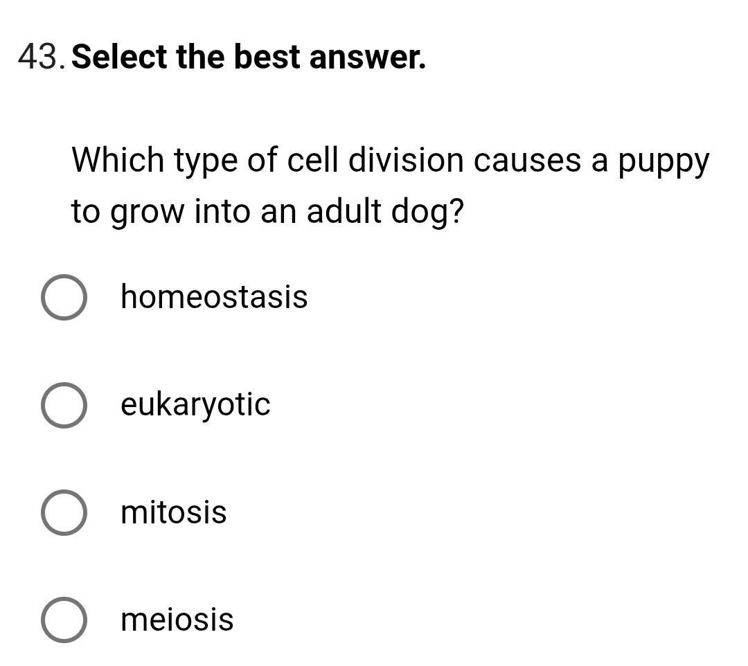 Select the best answer.
Which type of cell division causes a puppy
to grow into an adult dog?
homeostasis
eukaryotic
mitosis
meiosis