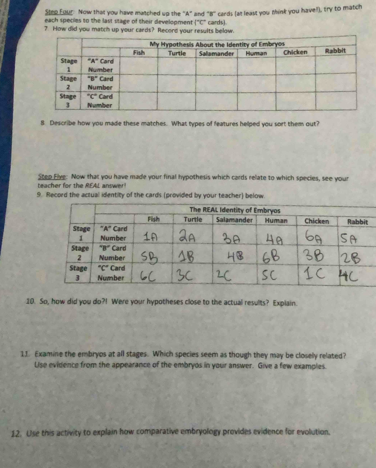 Step Four: Now that you have matched up the “A” and “B” cards (at least you think you have!), try to match
each species to the last stage of their development  ''C'' cards)
7. How did you match up your cards? Record your results below.
8 Describe how you made these matches. What types of features helped you sort them out?
Step Five: Now that you have made your final hypothesis which cards relate to which species, see your
teacher for the REAL answer!
9 Record the actual identity of the cards (provided by your teacher) below.
10. So, how did you do?! Were your hypotheses close to the actual results? Explain.
11. Examine the embryos at all stages. Which species seem as though they may be closely related?
Use evidence from the appearance of the embryos in your answer. Give a few examples.
12. Use this activity to explain how comparative embryology provides evidence for evolution.