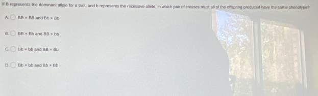 If B represents the dominant allele for a trait, and b represents the recessive allele, in which pair of crosses must all of the offspring produced have the same phenotype?
A BB=BB and Bb* Bb
B. BB* BD and BB* bb
□ b* bb and BB* Bb
Bb* bb and Bb* Bb