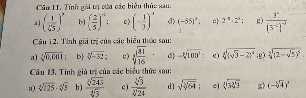 Tính giá trị của các biểu thức sau:
a) ( 1/sqrt[3](5) )^0 b) ( 2/5 )^-2 : c) (- 1/3 )^-4 d) (-55)^0 e) 2^(-8)· 2^5; g) frac 3^4(3^(-2))^-3
Câu 12. Tính giá trị của các biểu thức sau:
a) sqrt[3](0,001); b) sqrt[5](-32); c) sqrt[4](frac 81)16 d) -sqrt[6](100^3); e) sqrt[4]((sqrt 3)-2)^4 ;g) sqrt[5]((2-sqrt 5))^5. 
Câu 13. Tính giả trị của các biểu thức sau:
a) sqrt[4](125)· sqrt[4](5) b)  sqrt[4](243)/sqrt[4](3)  c)  sqrt[3](3)/sqrt[3](24)  d) sqrt(sqrt [3]64) : e) sqrt[4](3sqrt [3]3) g) (-sqrt[6](4))^3