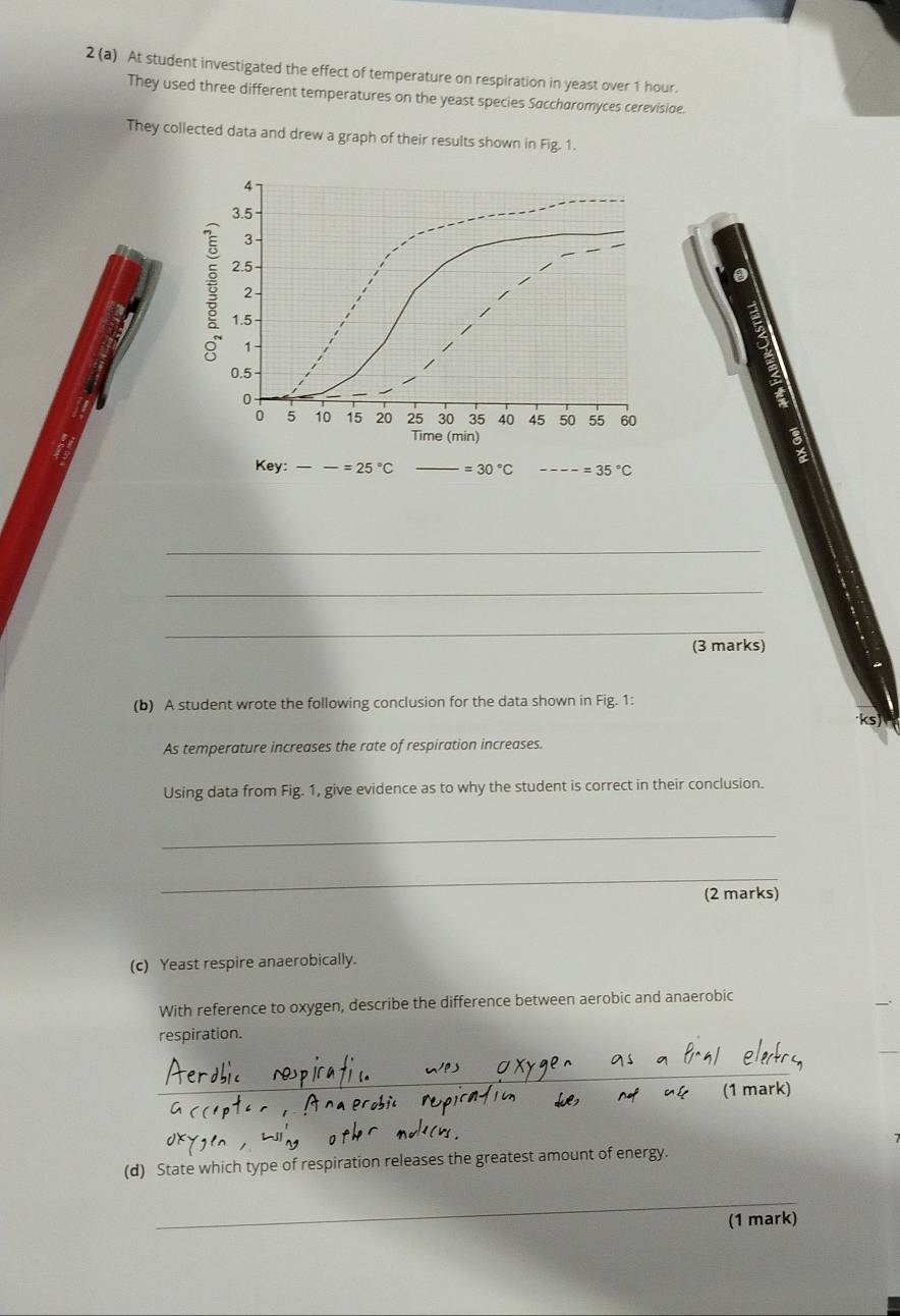 2 (a) At student investigated the effect of temperature on respiration in yeast over 1 hour. 
They used three different temperatures on the yeast species Sacchøromyces cereviside. 
They collected data and drew a graph of their results shown in Fig. 1. 
Key: =25°C =30°C =35°C
_ 
_ 
_ 
(3 marks) 
(b) A student wrote the following conclusion for the data shown in Fig. 1: 
As temperature increases the rate of respiration increases. 
Using data from Fig. 1, give evidence as to why the student is correct in their conclusion. 
_ 
_ 
(2 marks) 
(c) Yeast respire anaerobically. 
With reference to oxygen, describe the difference between aerobic and anaerobic 
respiration. 
_ 
(1 märk) 
(d) State which type of respiration releases the greatest amount of energy. 
_ 
(1 mark)