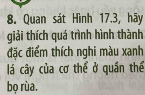 Quan sát Hình 17.3, hãy 
giải thích quá trình hình thành 
đặc điểm thích nghi màu xanh 
lá cây của cơ thể ở quần thể 
bọ rùa.