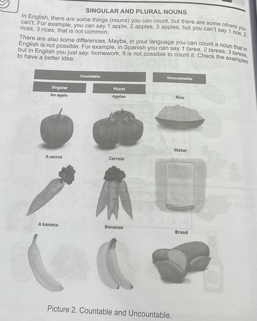 SINGULAR AND PLURAL NOUNS 
In English, there are some things (nouns) you can count, but there are some others you 
can't. For example, you can say 1 apple, 2 apples, 3 apples, but you can't say 1 rice, 2
rices, 3 rices, that is not common. 
There are also some differences. Maybe, in your language you can count a noun that in 
English is not possible. For example, in Spanish you can say 1 tarea, 2 tareas, 3 tareas. 
but in English you just say: homework. It is not possible to count it. Check the examples 
to have a better idea. 
Picture 2. Countable and Uncountable.