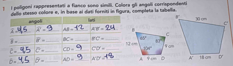 poligoni rappresentati a fianco sono simili. Colora gli angoli corrispondenti
dello stesso colore e, in base ai dati forniti in figura, completa la tabella.