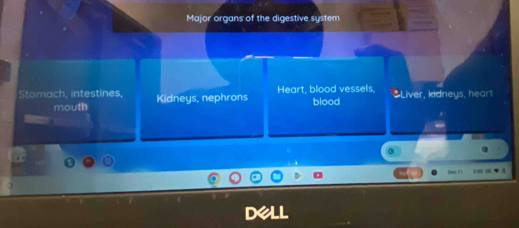 Major organs of the digestive system
Heart, blood vessels,
Stomach, intestines, Kidneys, nephrons * Liver, kidneys, heart
mouth
blood
0
Dec f l