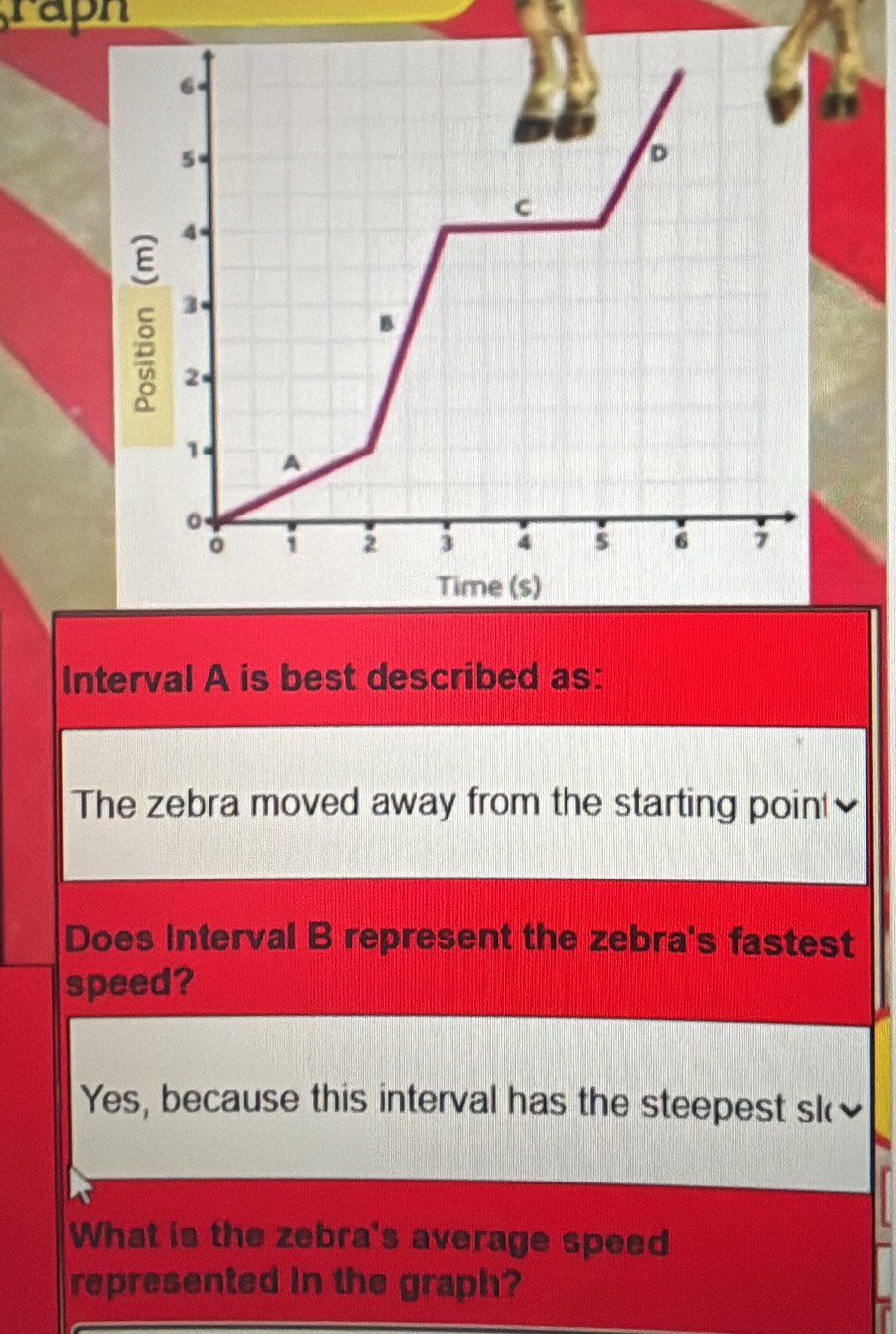 raph
Interval A is best described as:
The zebra moved away from the starting point
Does Interval B represent the zebra's fastest
speed?
Yes, because this interval has the steepest sk
What is the zebra's average speed
represented in the graph?