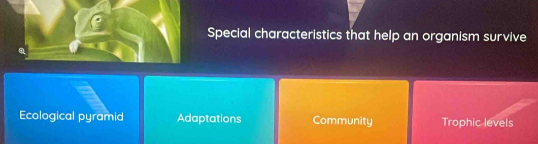 Special characteristics that help an organism survive
Ecological pyramid Adaptations Community Trophic levels