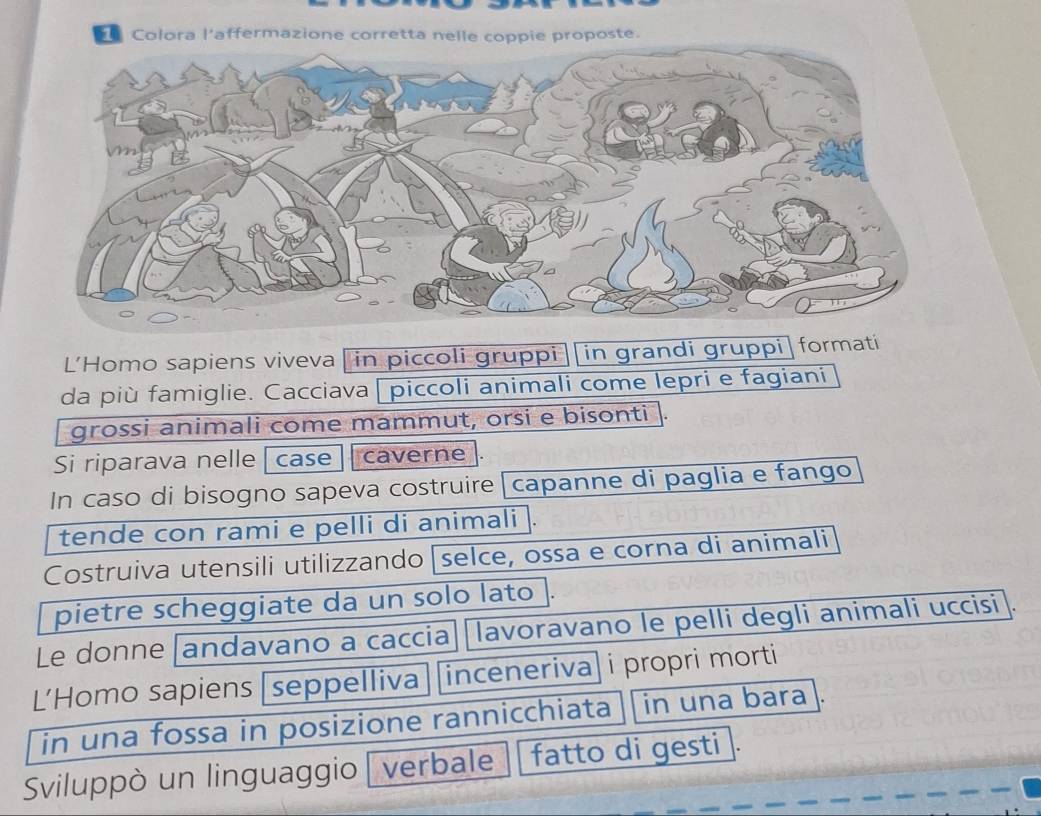 Colora l'affermazione corretta nelle coppie proposte. 
L’Homo sapiens viveva in piccoli gruppi in grandi gruppi formati 
da più famiglie. Cacciava| piccoli animali come lepri e fagiani 
grossi animali come mammut, orsi e bisonti 
Si riparava nelle case caverne 
In caso di bisogno sapeva costruire |capanne di paglia e fango 
tende con rami e pelli di animali . 
Costruiva utensili utilizzando [ selce, ossa e corna di animali 
pietre scheggiate da un solo lato 
Le donne [andavano a caccia [lavoravano le pelli degli animali uccisi 
L’Homo sapiens [seppelliva inceneriva i propri morti 
in una fossa in posizione rannicchiata in una bara 
Sviluppò un linguaggio verbale fatto di gesti .