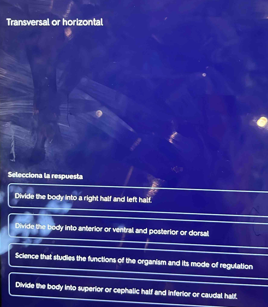 Transversal or horizontal
Selecciona la respuesta
Divide the body into a right half and left half.
Divide the body into anterior or ventral and posterior or dorsal
Science that studies the functions of the organism and its mode of regulation
Divide the body into superior or cephalic half and inferior or caudal half.